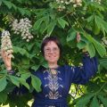 Олена